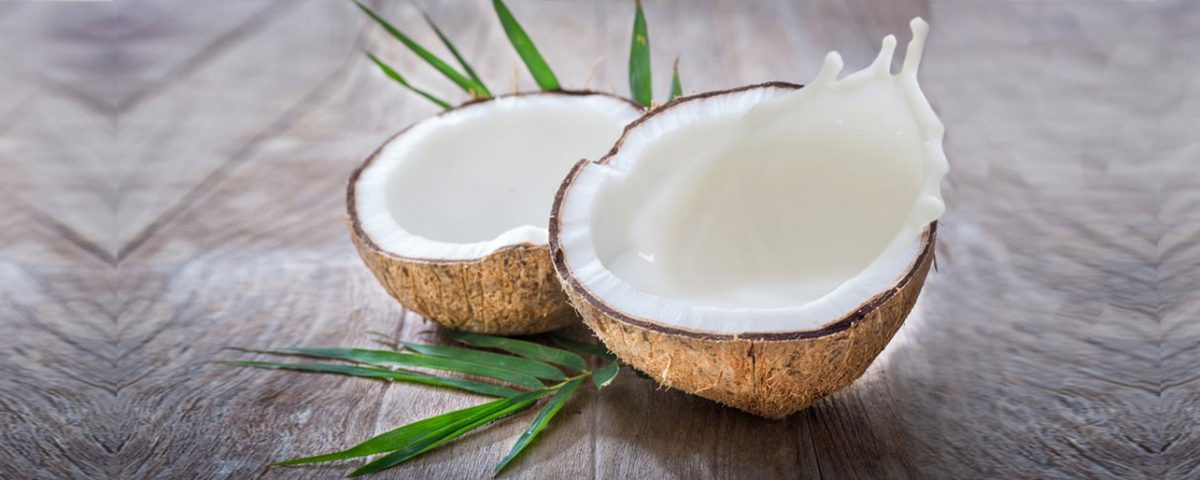 Bulk Coconut Milk – Supercharge your food products