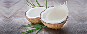 Bulk Coconut Milk and Cream – Exotic and versatile