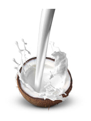 shan Coconut Milk - Organic Additive Free 